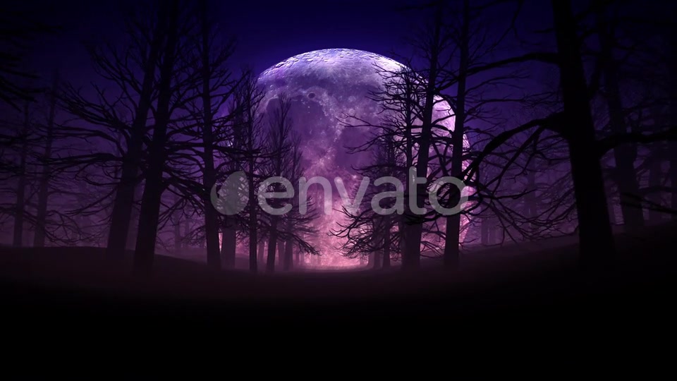 Full Moon Night In Forest Halloween Background 01 HD Videohive 24767669 Motion Graphics Image 10