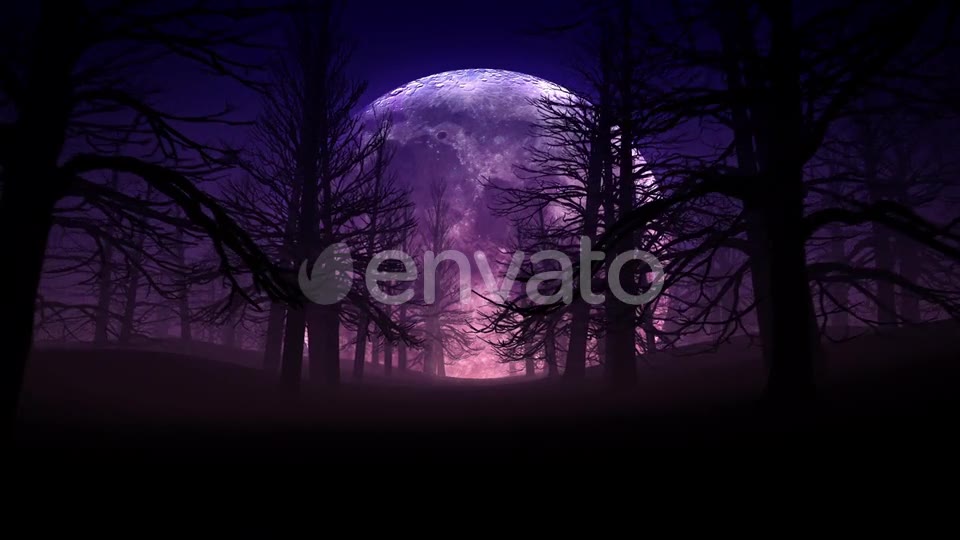 Full Moon Night In Forest Halloween Background 01 HD Videohive 24767669 Motion Graphics Image 2