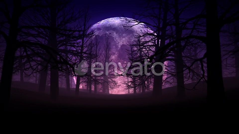 Full Moon Night In Forest Halloween Background 01 HD Videohive 24767669 Motion Graphics Image 3