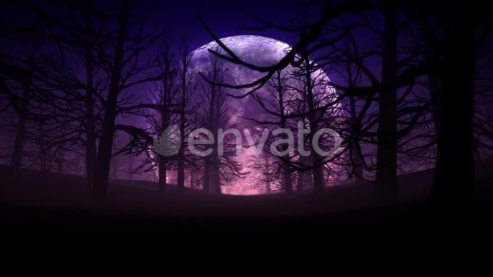Full Moon Night In Forest Halloween Background 01 HD Videohive 24767669 Motion Graphics Image 4