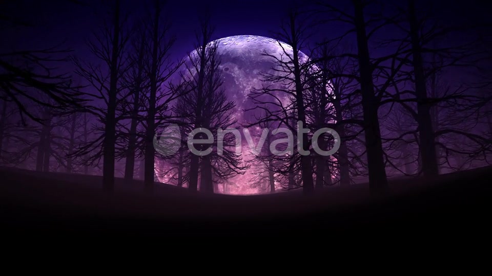 Full Moon Night In Forest Halloween Background 01 HD Videohive 24767669 Motion Graphics Image 5