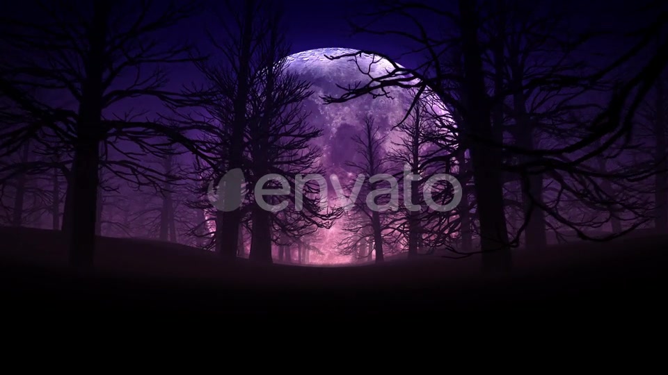 Full Moon Night In Forest Halloween Background 01 HD Videohive 24767669 Motion Graphics Image 6