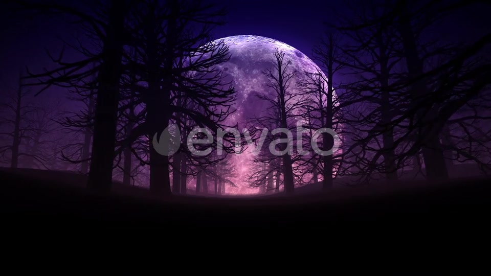 Full Moon Night In Forest Halloween Background 01 HD Videohive 24767669 Motion Graphics Image 7
