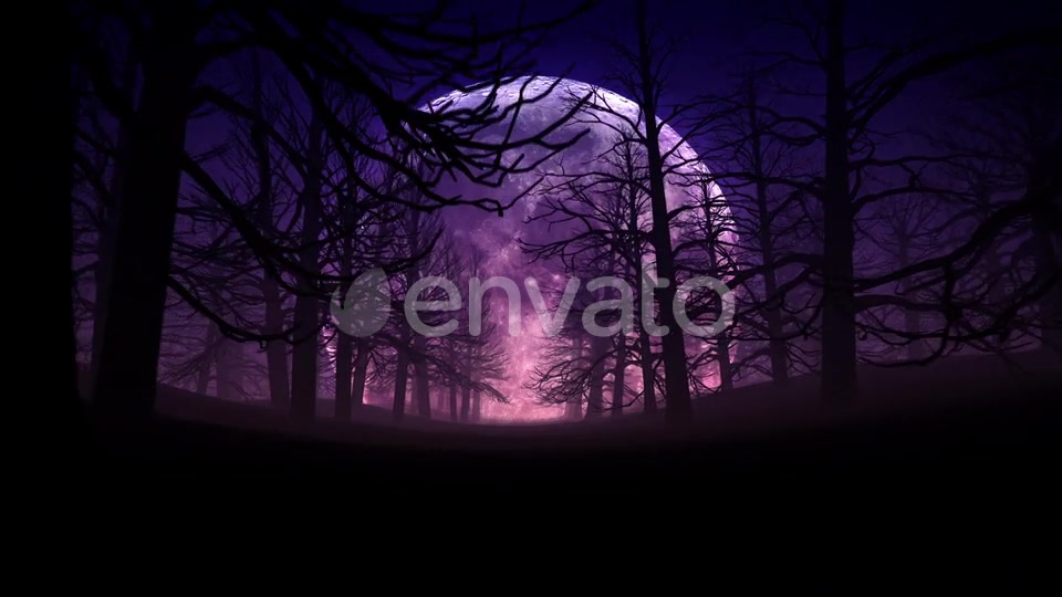Full Moon Night In Forest Halloween Background 01 HD Videohive 24767669 Motion Graphics Image 8