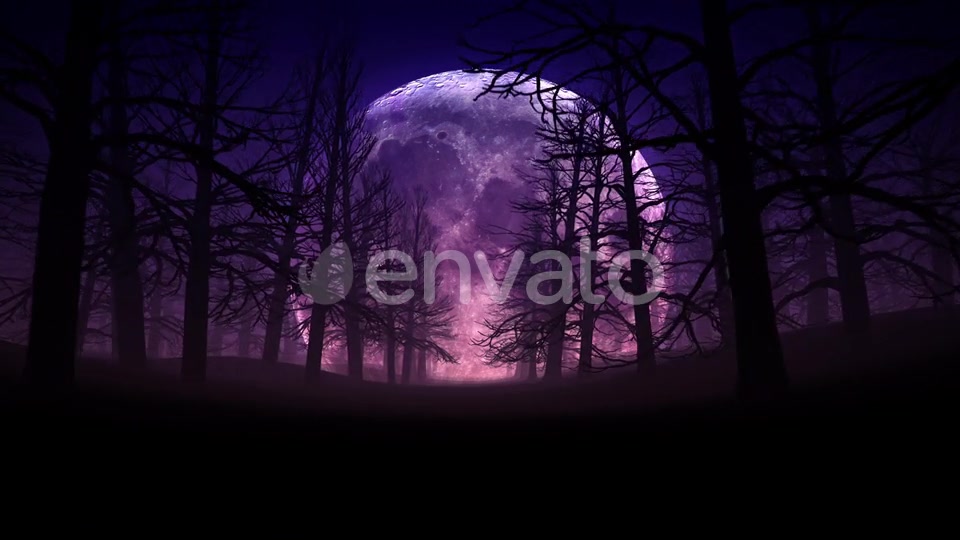 Full Moon Night In Forest Halloween Background 01 HD Videohive 24767669 Motion Graphics Image 9