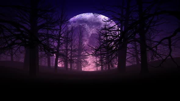 Full Moon Night In Forest Halloween Background 01 HD - Download 24767669 Videohive