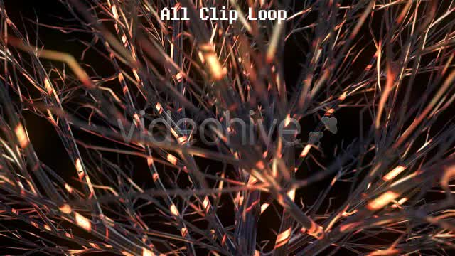 Funky Tree Videohive 4850807 Motion Graphics Image 1