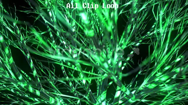 Funky Tree Videohive 4850807 Motion Graphics Image 2