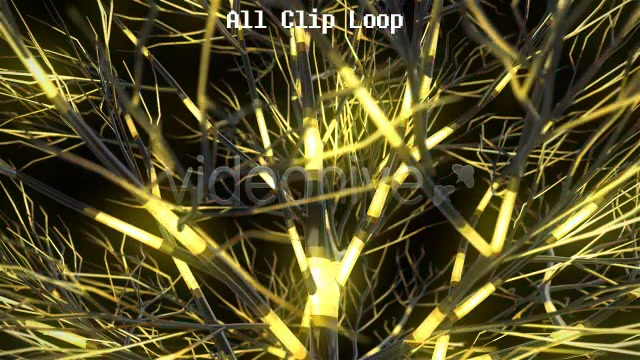 Funky Tree Videohive 4850807 Motion Graphics Image 3