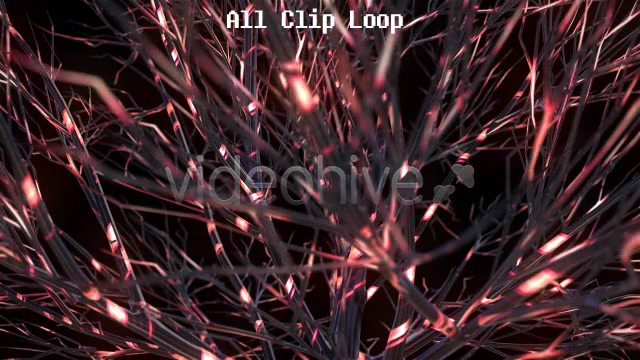 Funky Tree Videohive 4850807 Motion Graphics Image 5