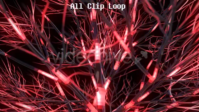 Funky Tree Videohive 4850807 Motion Graphics Image 7