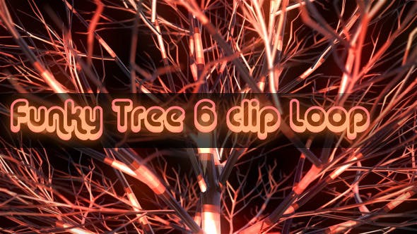 Funky Tree - Download 4850807 Videohive
