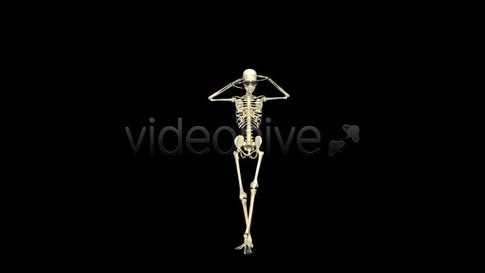 Funny Skeleton Belly Dance Pack of 2 Videohive 5603595 Motion Graphics Image 1
