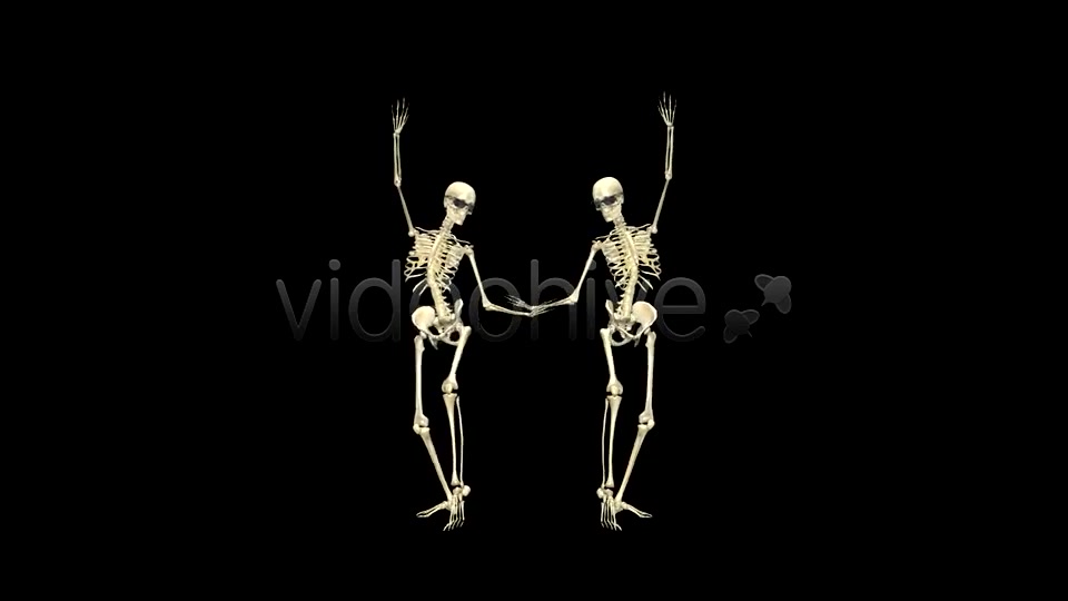 Funny Skeleton Belly Dance Pack of 2 Videohive 5603595 Motion Graphics Image 10