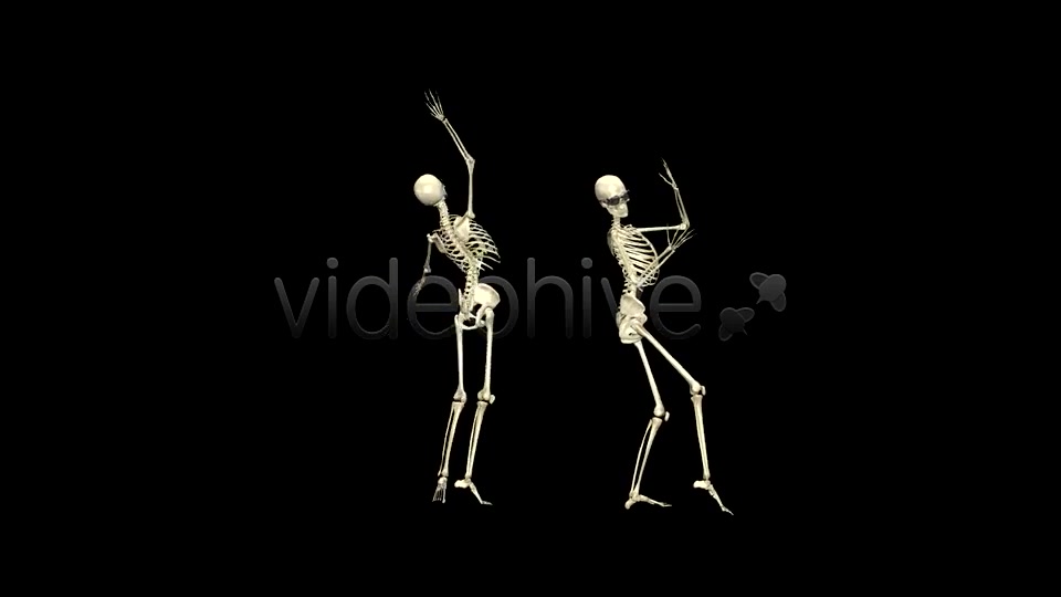 Funny Skeleton Belly Dance Pack of 2 Videohive 5603595 Motion Graphics Image 11