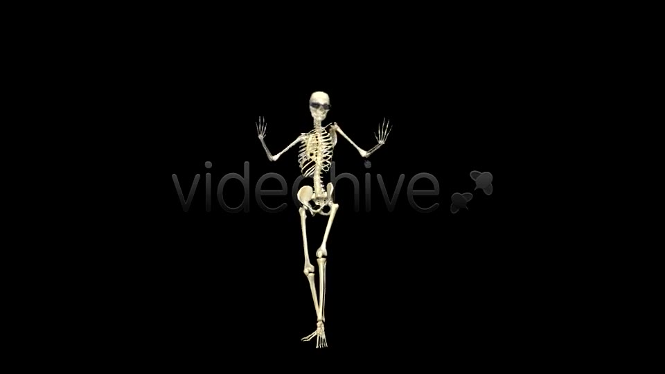 Funny Skeleton Belly Dance Pack of 2 Videohive 5603595 Motion Graphics Image 2