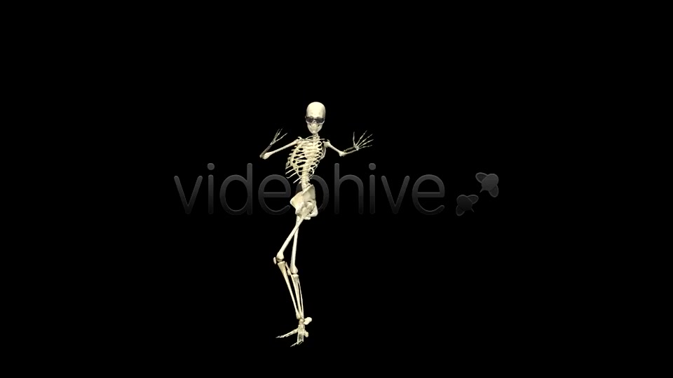 Funny Skeleton Belly Dance Pack of 2 Videohive 5603595 Motion Graphics Image 3