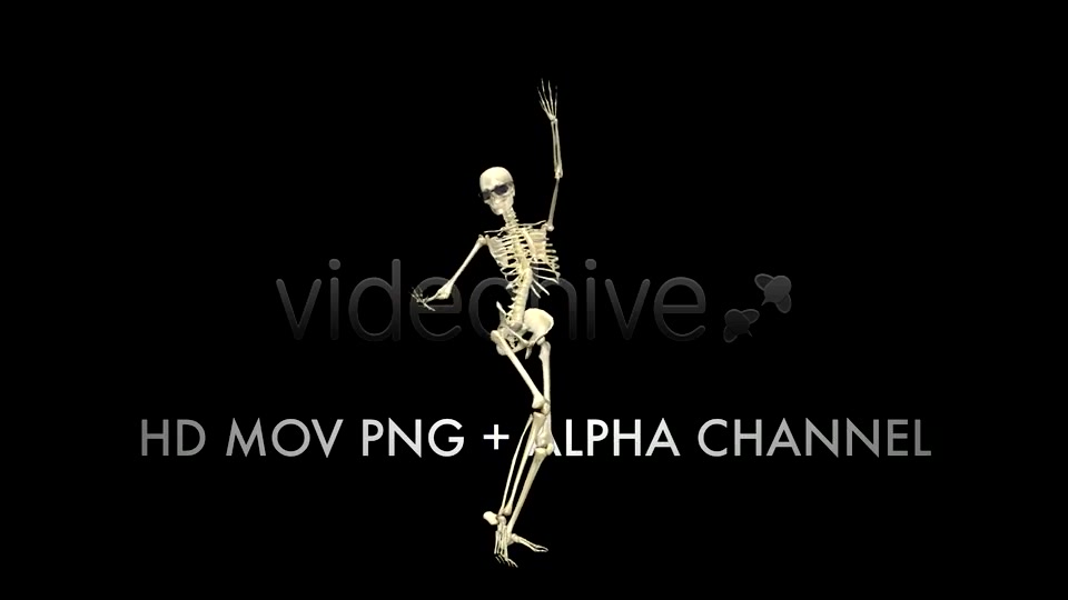 Funny Skeleton Belly Dance Pack of 2 Videohive 5603595 Motion Graphics Image 4