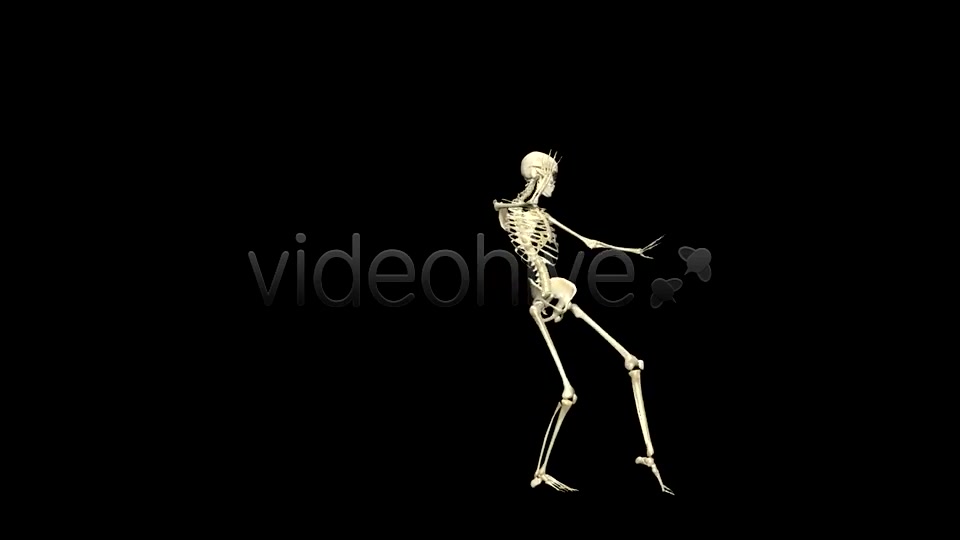 Funny Skeleton Belly Dance Pack of 2 Videohive 5603595 Motion Graphics Image 6