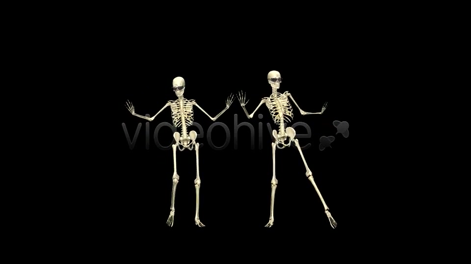 Funny Skeleton Belly Dance Pack of 2 Videohive 5603595 Motion Graphics Image 8