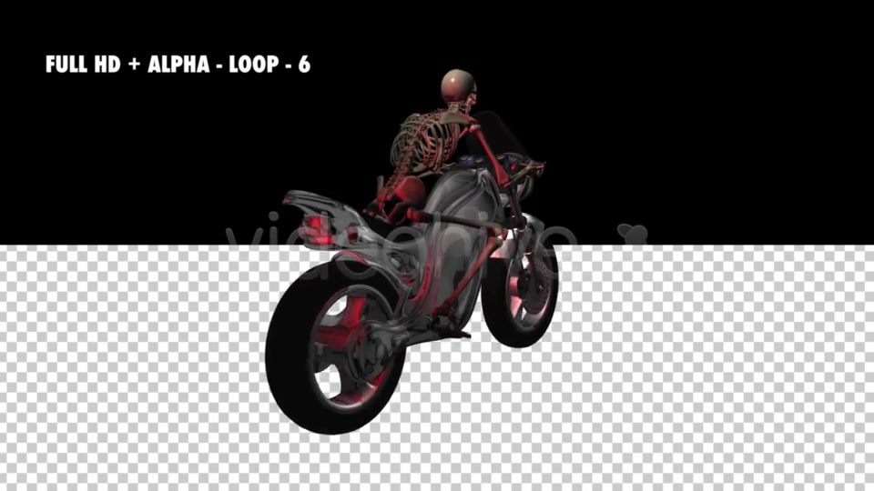 Funny Skeleton Crazy Biker Pack of 7 Videohive 5620228 Motion Graphics Image 10