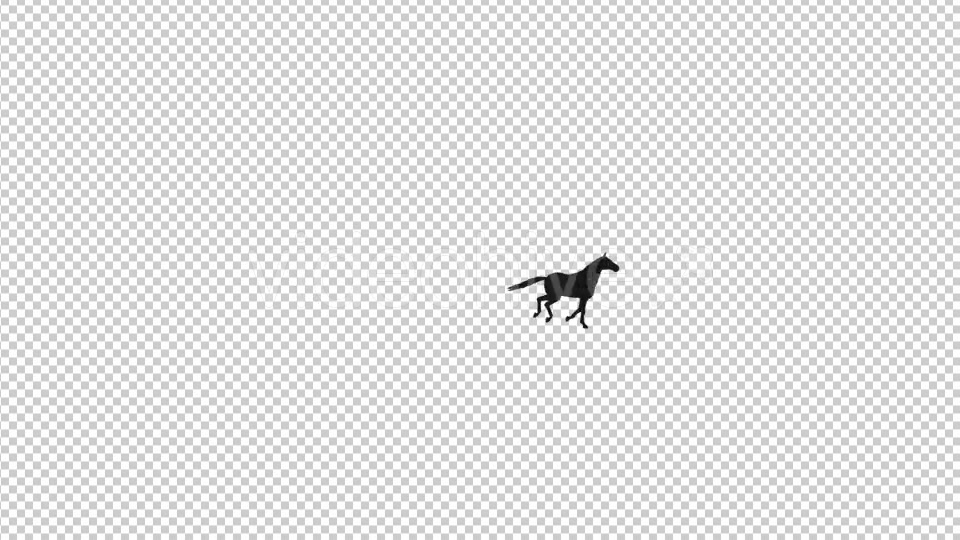 Galloping Horse Silhouette Videohive 19199229 Motion Graphics Image 4