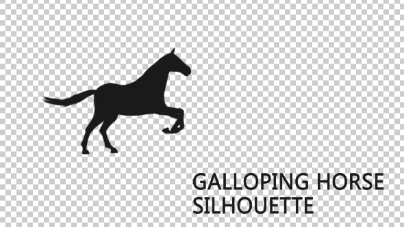 Galloping Horse Silhouette - Download 19199229 Videohive