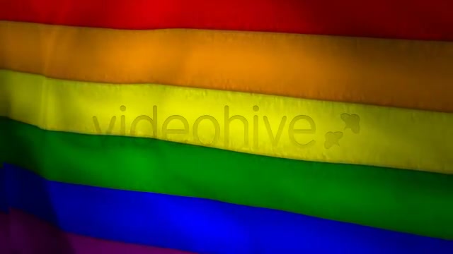 Gay Pride Rainbow Flag 2 Styles Videohive 5243421 Motion Graphics Image 6