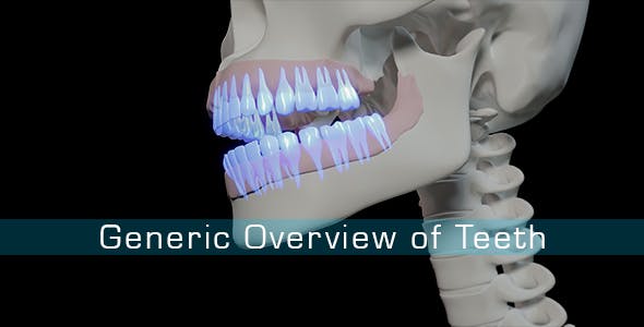 Generic Overview Of Teeth - Download 21465567 Videohive