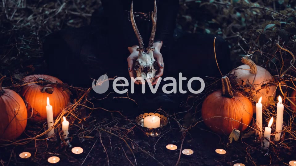Ghost Halloween Transitions Videohive 22641131 Motion Graphics Image 5
