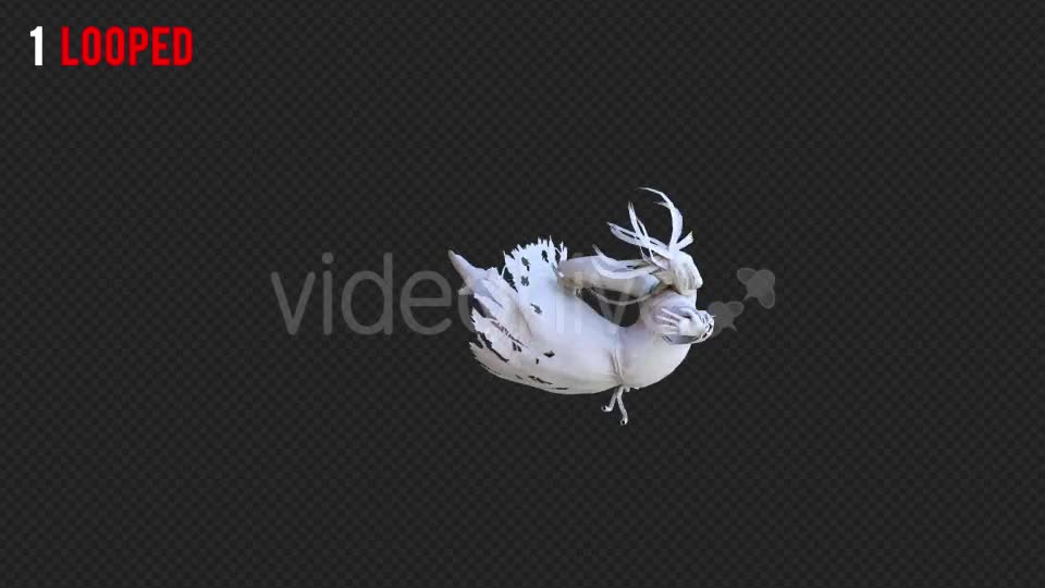 Ghost Realistic Pack 10 Videohive 21184510 Motion Graphics Image 1