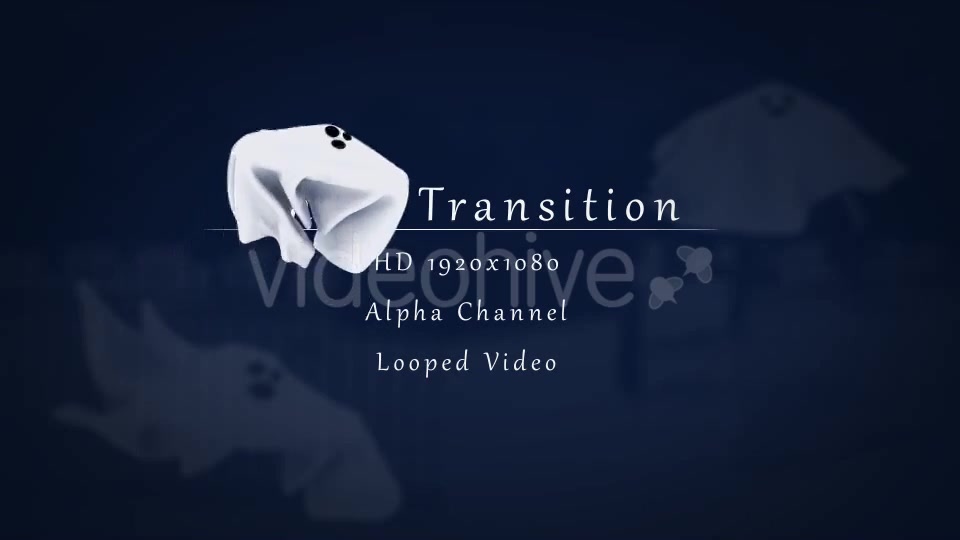 Ghost Transition Videohive 12766130 Motion Graphics Image 6