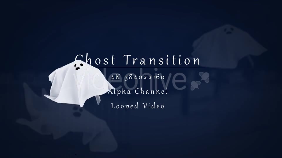 Ghost Transition Videohive 12858411 Motion Graphics Image 5