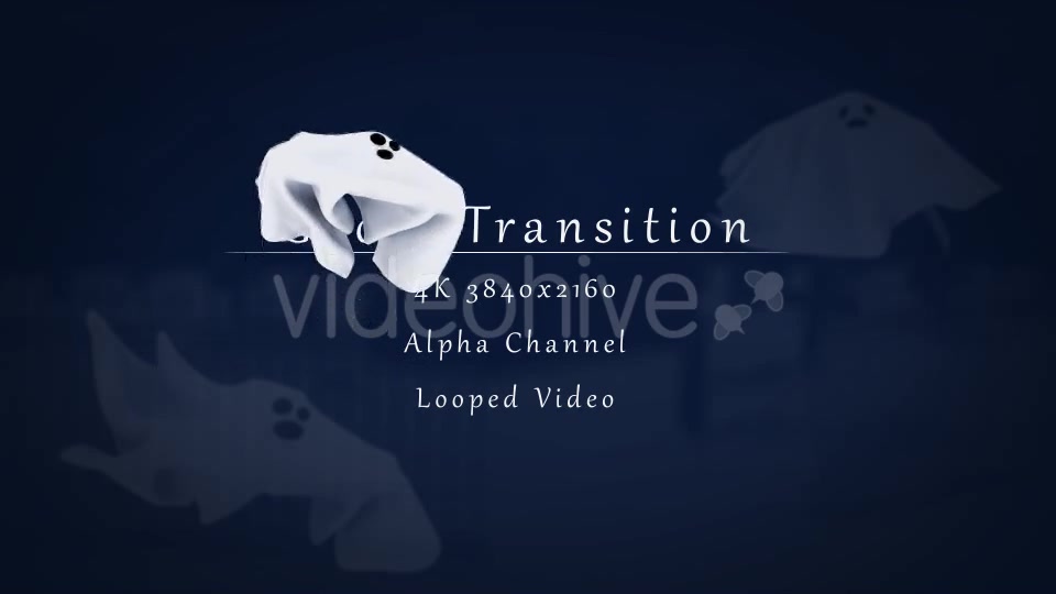 Ghost Transition Videohive 12858411 Motion Graphics Image 6