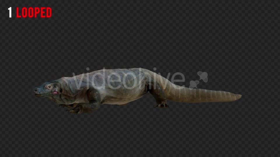 Giant Lizard 2 Realistic Pack 4 Videohive 21203281 Motion Graphics Image 1