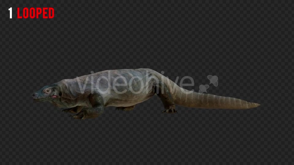 Giant Lizard 2 Realistic Pack 4 Videohive 21203281 Motion Graphics Image 2