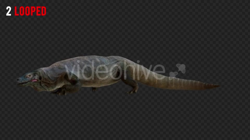 Giant Lizard 2 Realistic Pack 4 Videohive 21203281 Motion Graphics Image 3