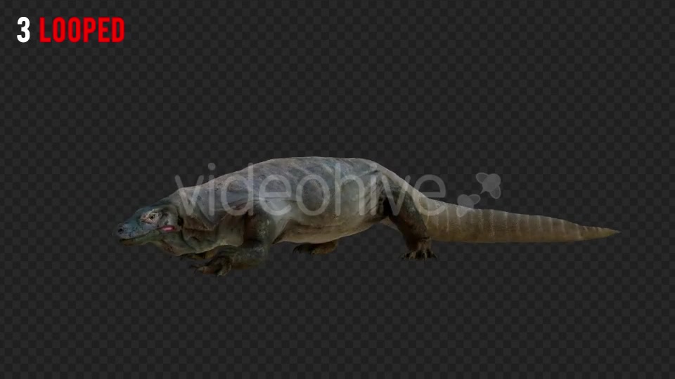 Giant Lizard 2 Realistic Pack 4 Videohive 21203281 Motion Graphics Image 4