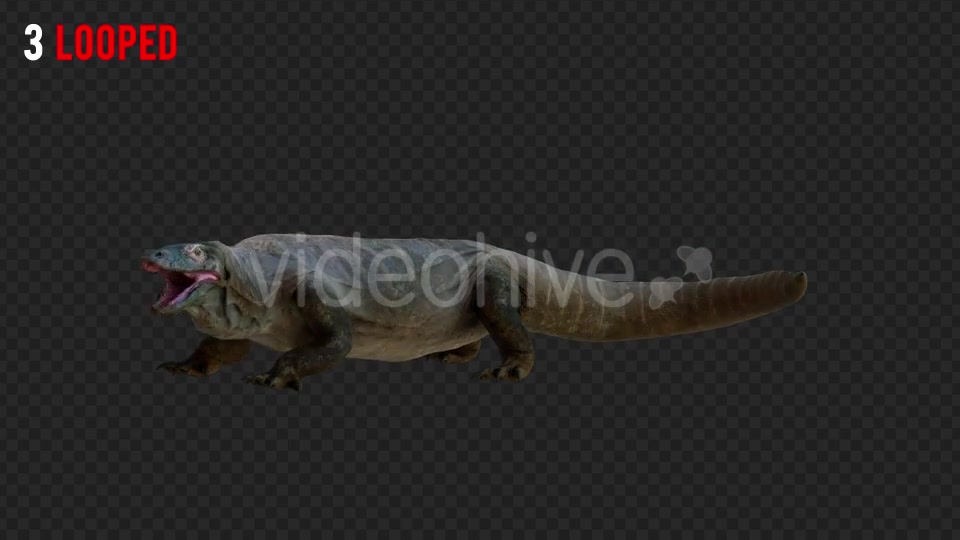 Giant Lizard 2 Realistic Pack 4 Videohive 21203281 Motion Graphics Image 5