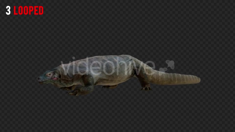 Giant Lizard 2 Realistic Pack 4 Videohive 21203281 Motion Graphics Image 6