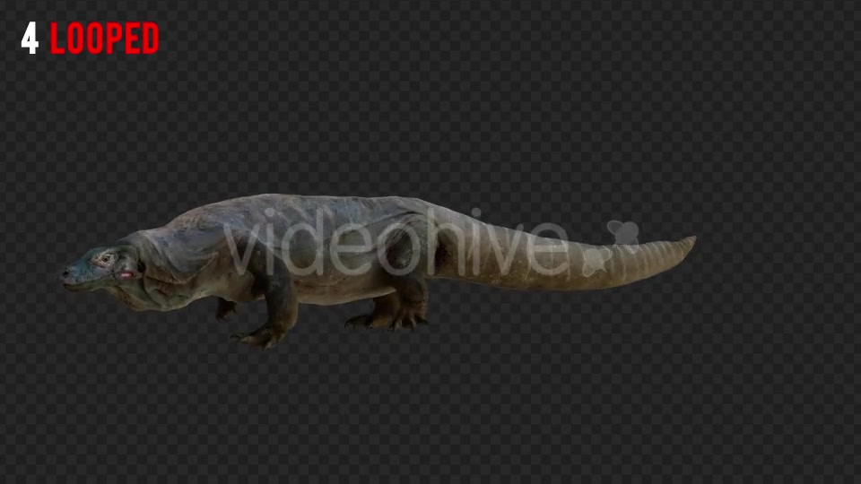 Giant Lizard 2 Realistic Pack 4 Videohive 21203281 Motion Graphics Image 7