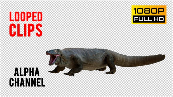 Giant Lizard 2 Realistic Pack 4 - Videohive 21203281 Download
