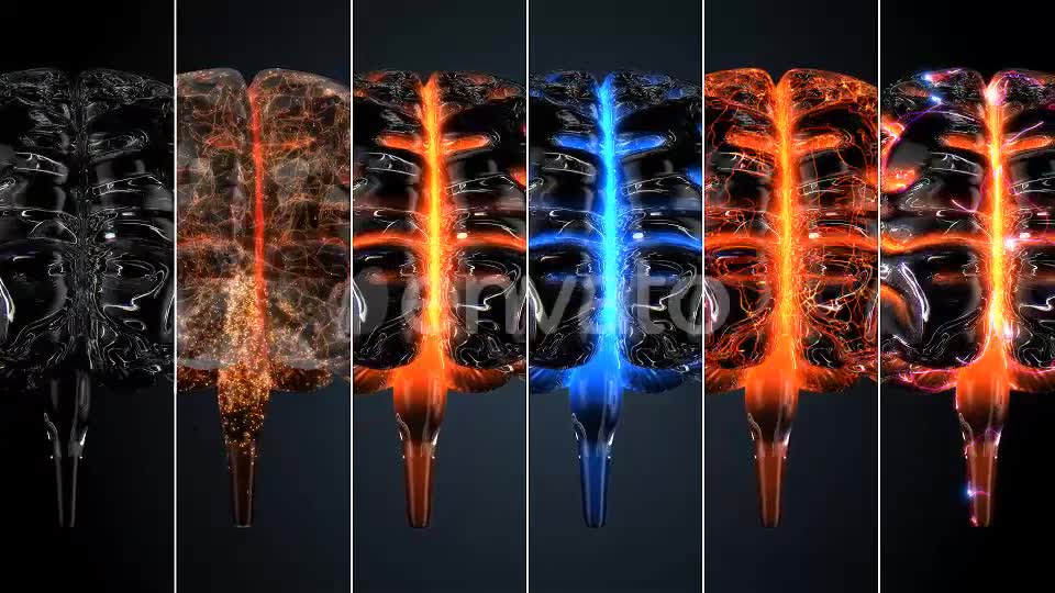 Glass Brains Videohive 7850801 Motion Graphics Image 11