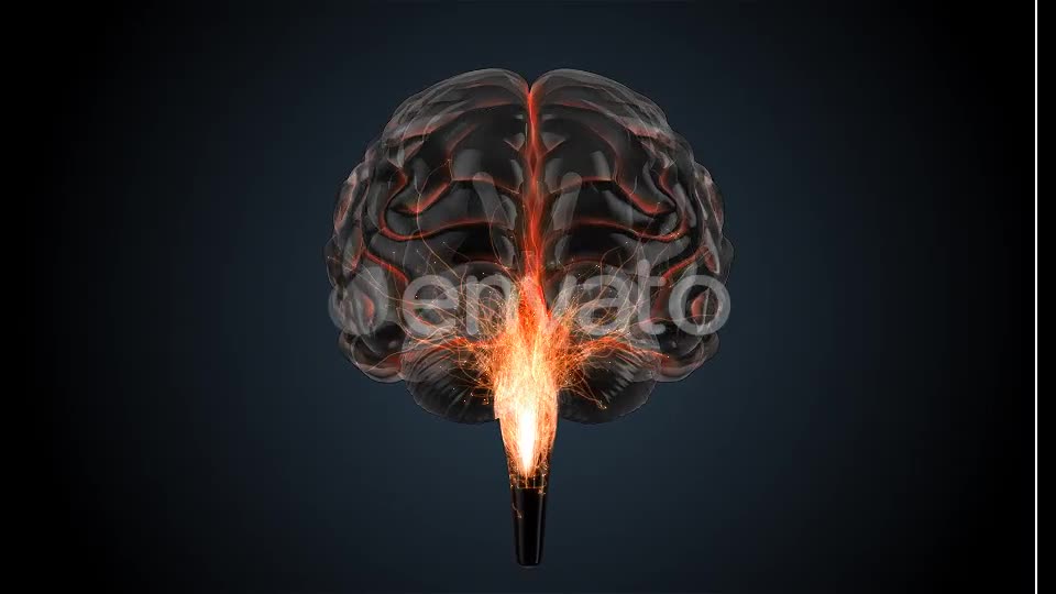 Glass Brains Videohive 7850801 Motion Graphics Image 2