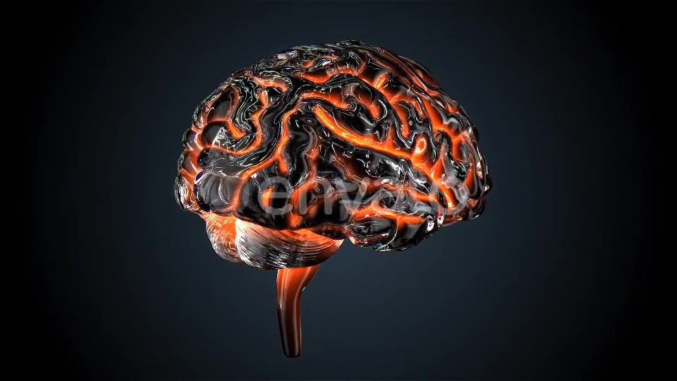 Glass Brains Videohive 7850801 Motion Graphics Image 3