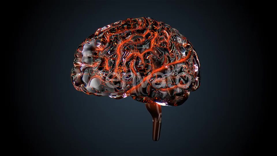 Glass Brains Videohive 7850801 Motion Graphics Image 6