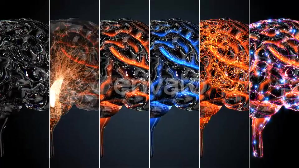 Glass Brains Videohive 7850801 Motion Graphics Image 9