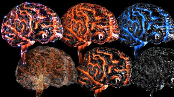 Glass Brains - 7850801 Videohive Download