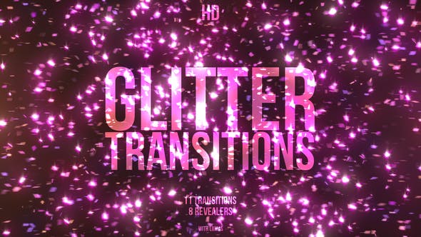 Glitter Transitions - Download Videohive 21631169