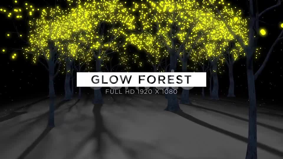 Glow Forest VJ Loops Background Videohive 23050926 Motion Graphics Image 1